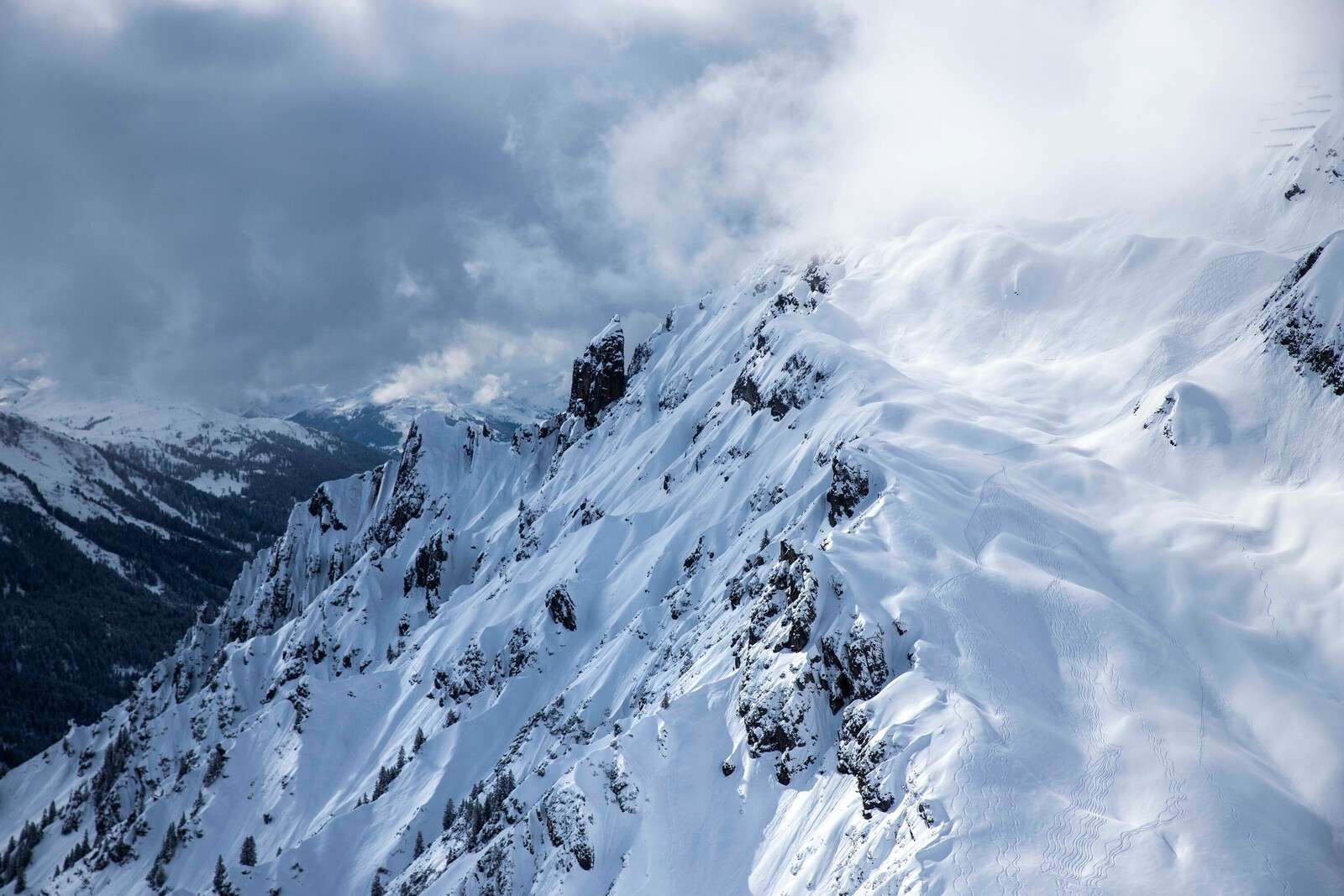 Vers spår i tyst snöhällning