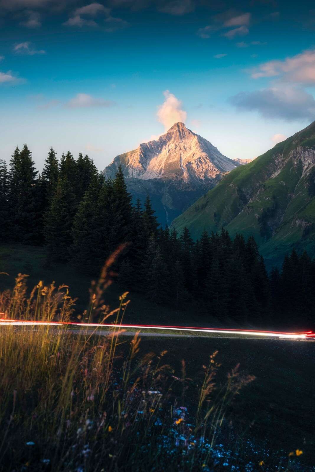 Kvällsljus på alptop med blomsteräng
