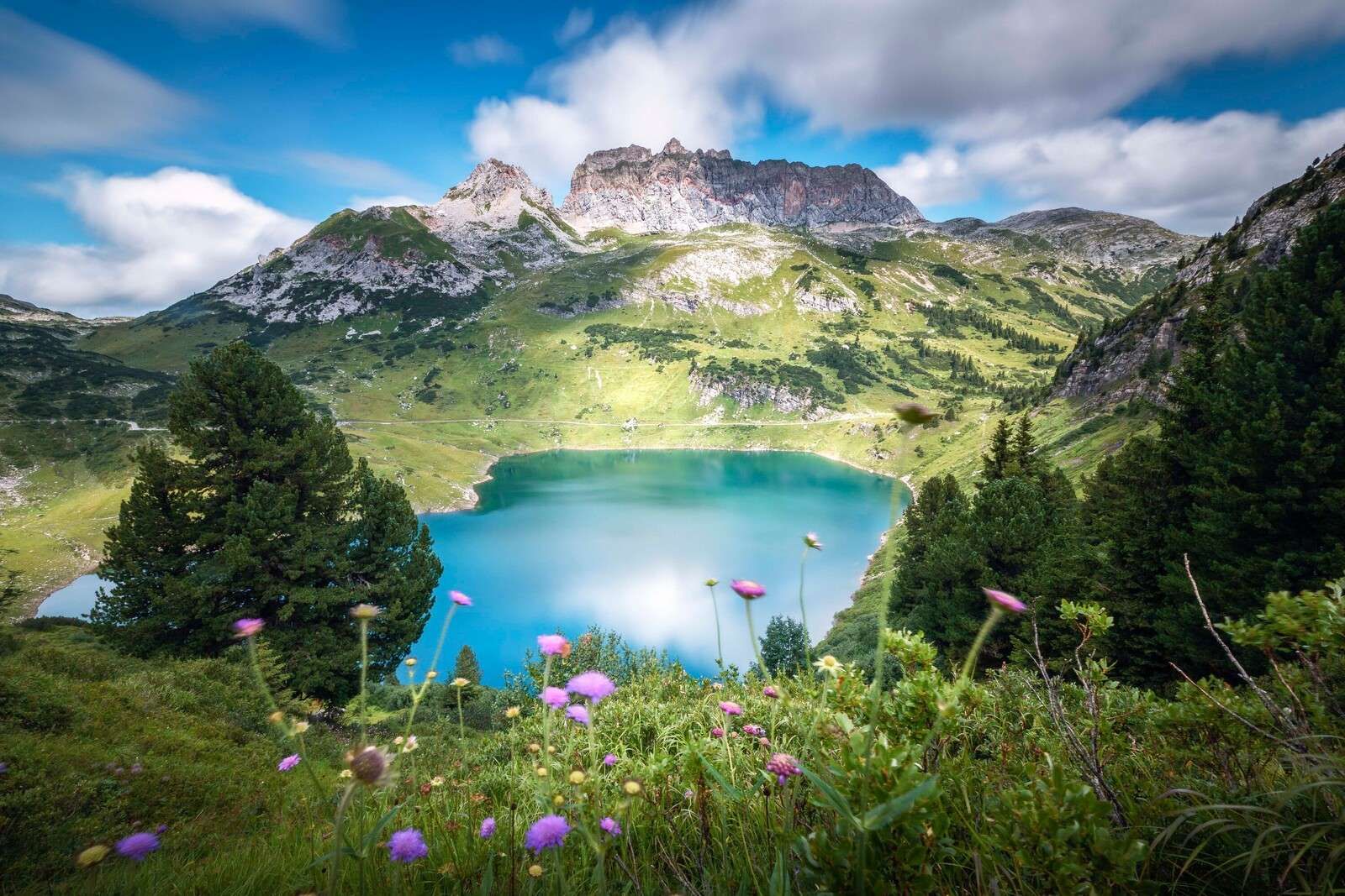 Fjellvann med ville alpeblomster