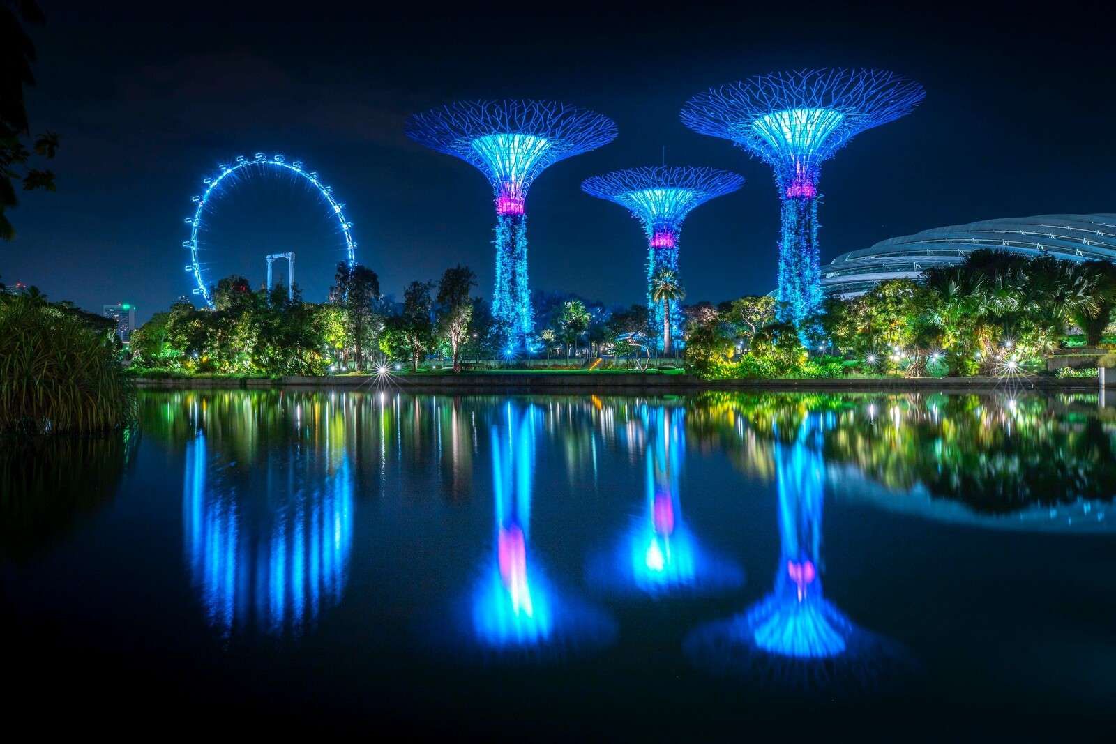 Futuristiske lystræer ved vandet