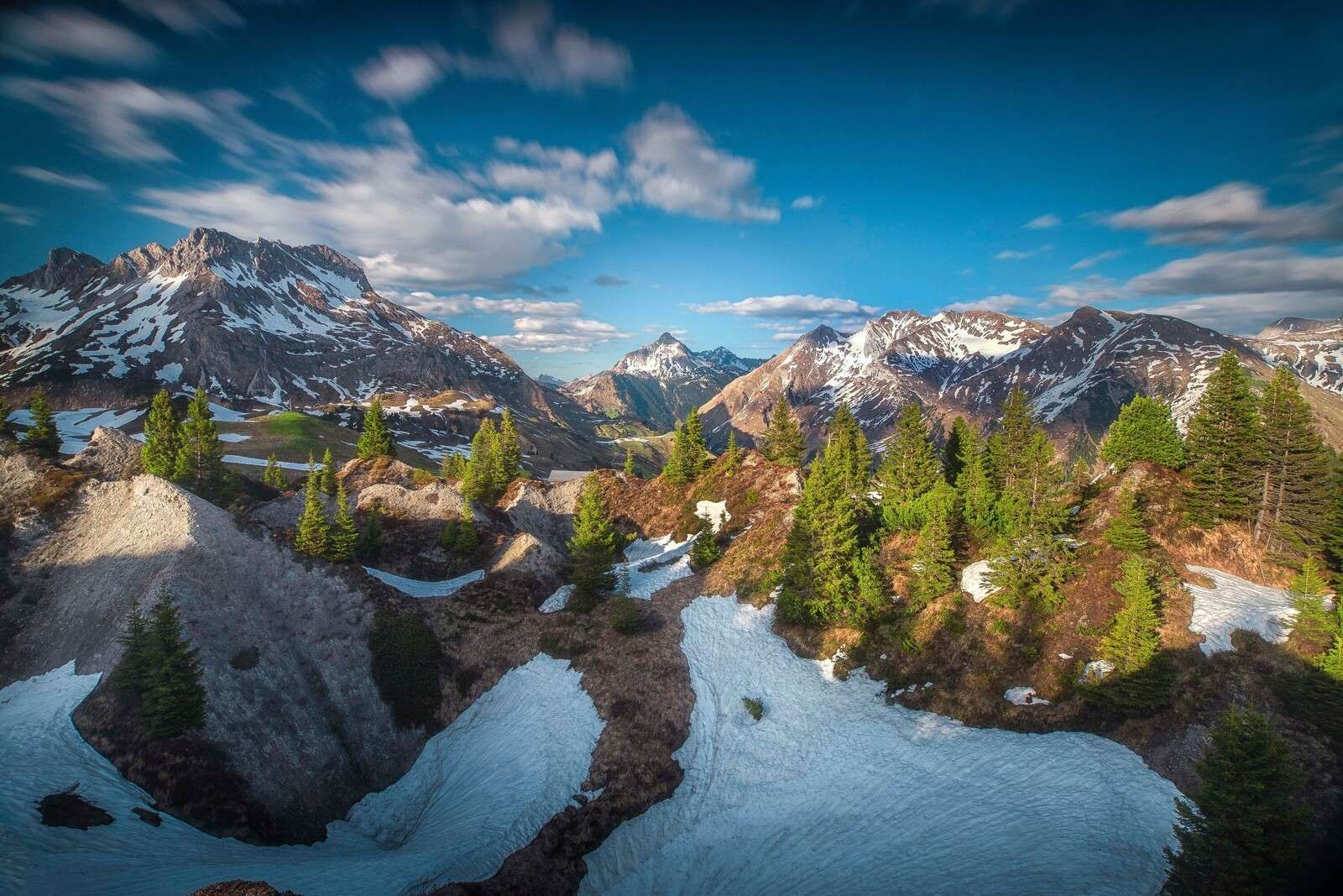 Lysning over sneklædt bjergskov
