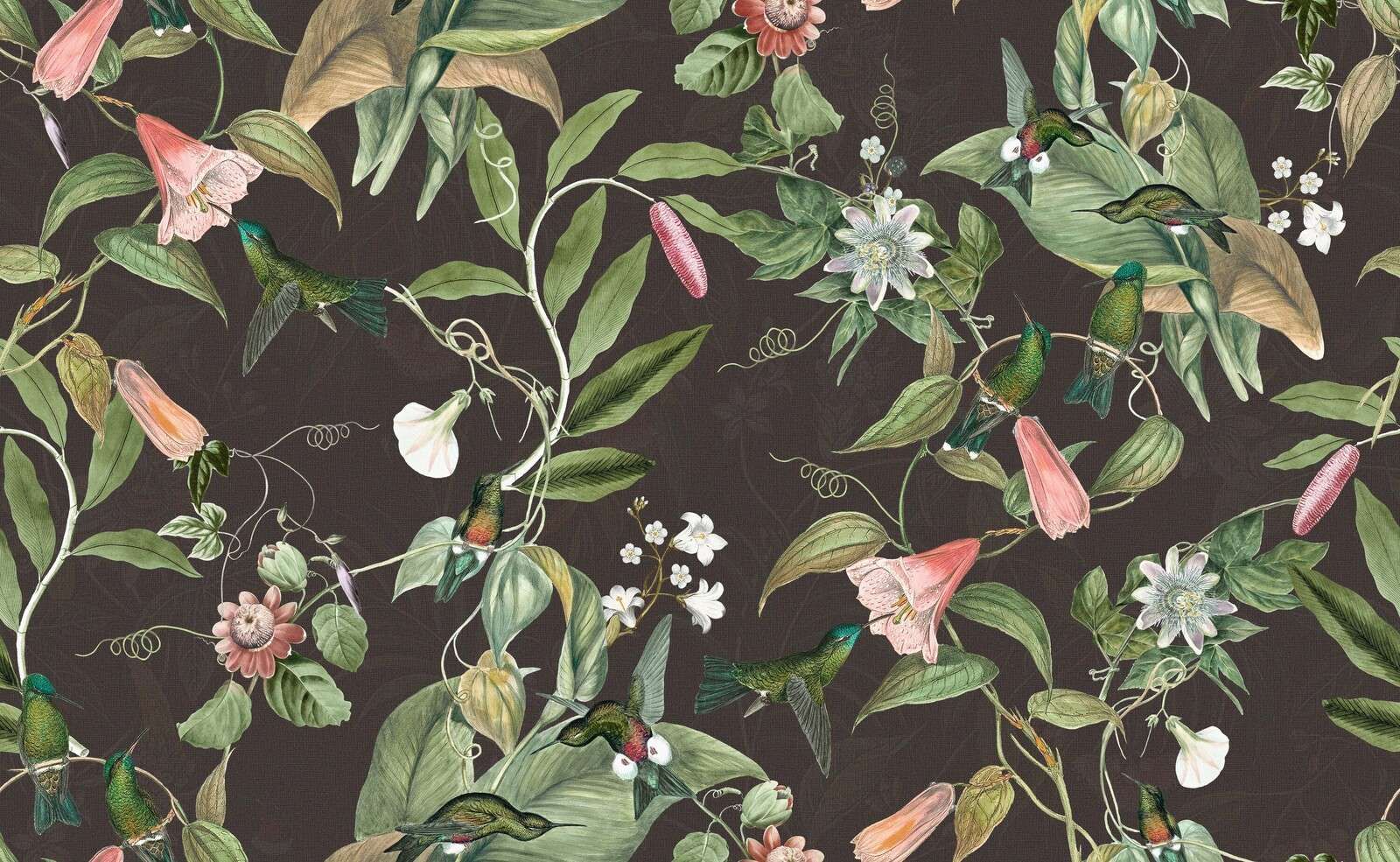 Kolibrier blant tropiske blomster