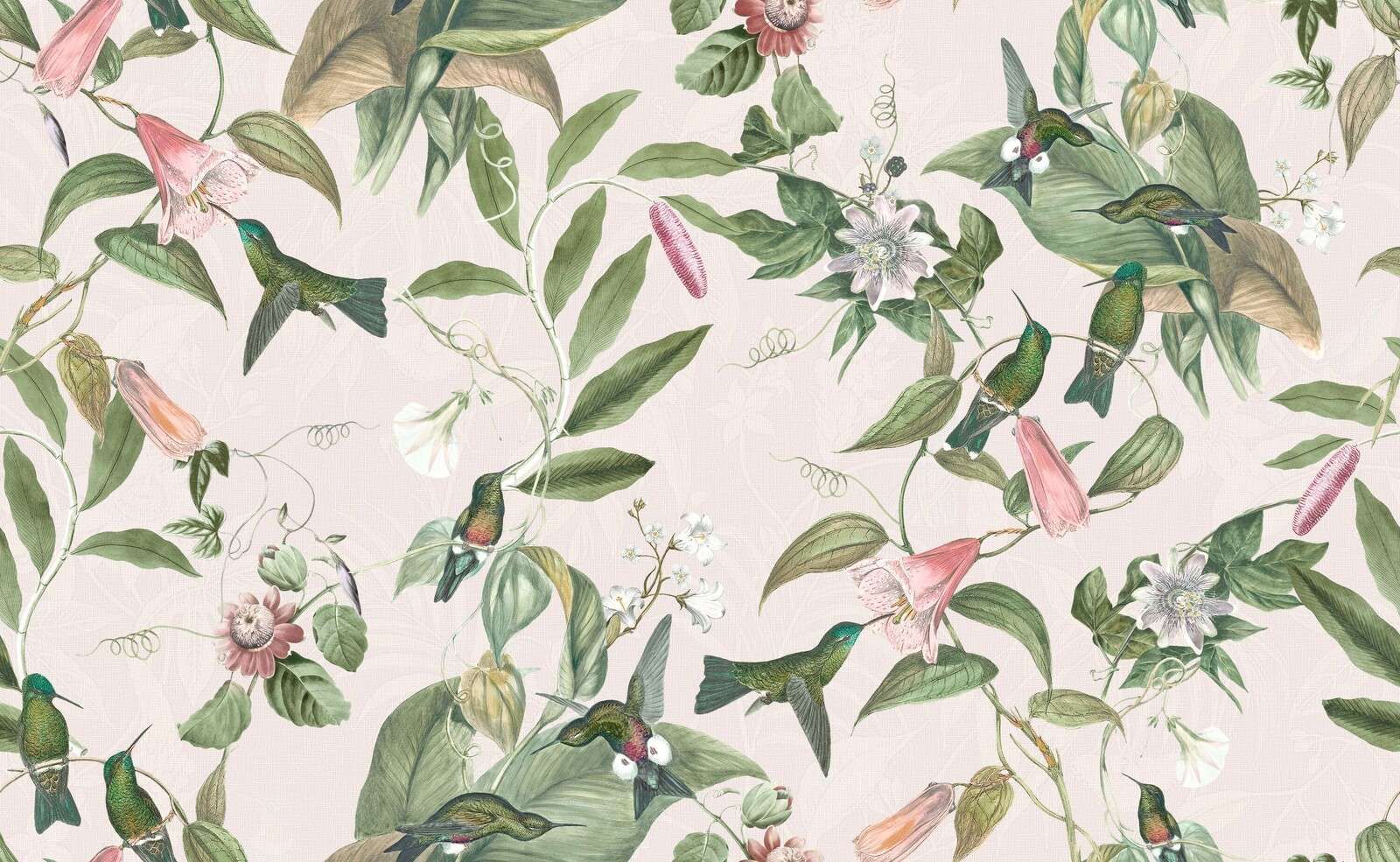 Kolibrier mellem lyserøde blomster