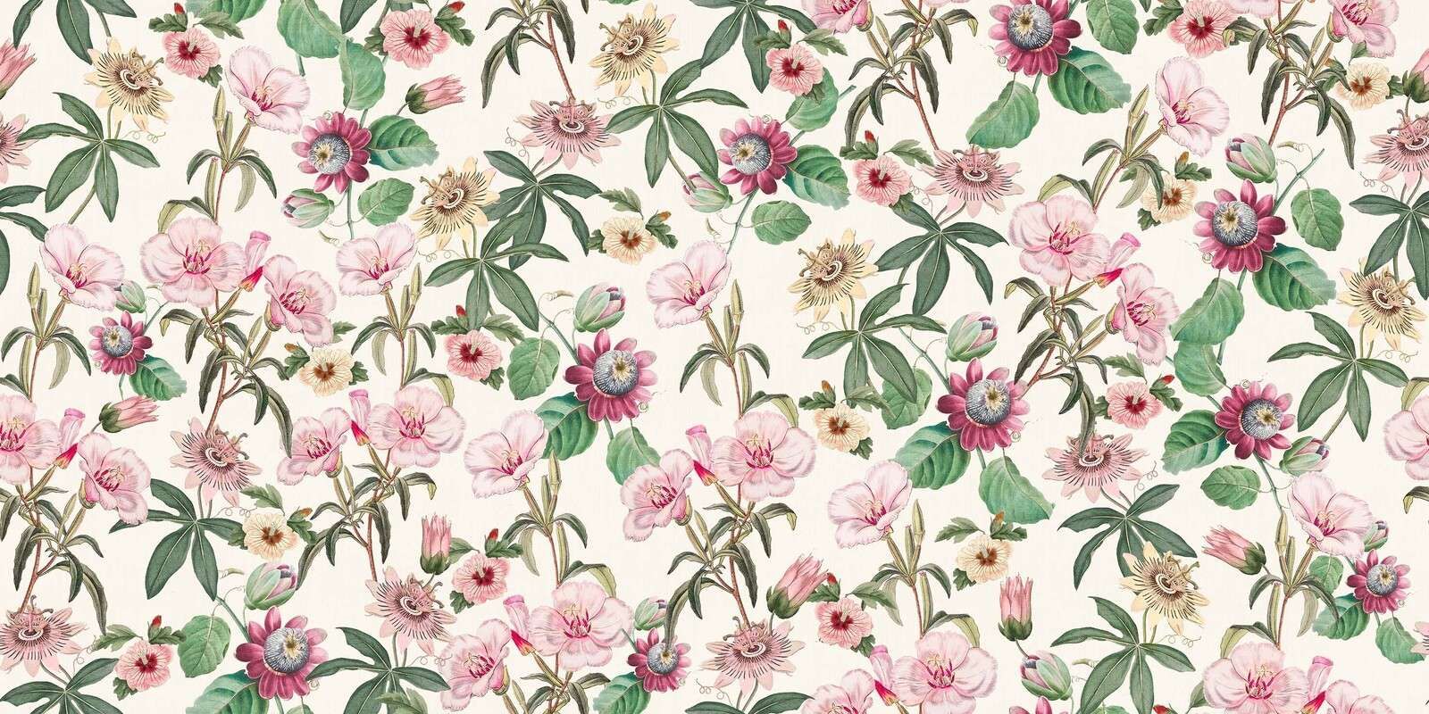 Romantiske passionsblomster i creme