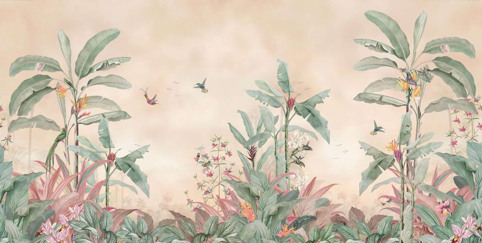 Tropiske kolibrier i bananskog.