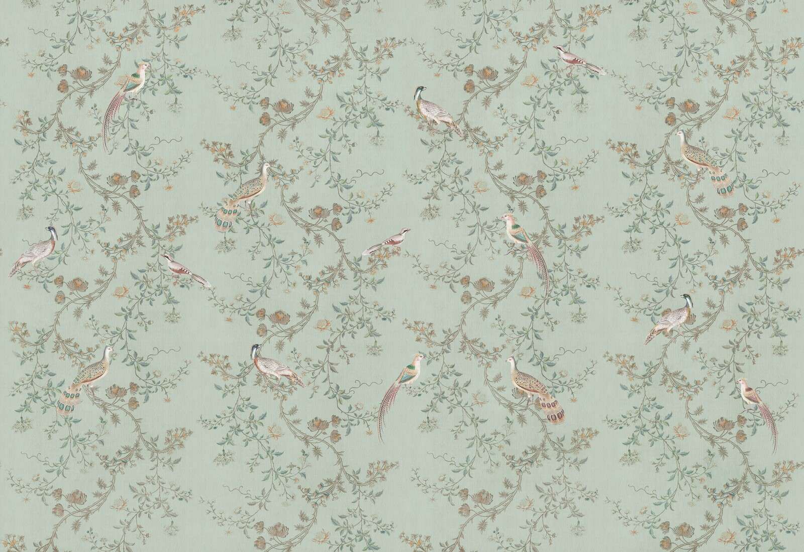 Fasaner i elegante ranker