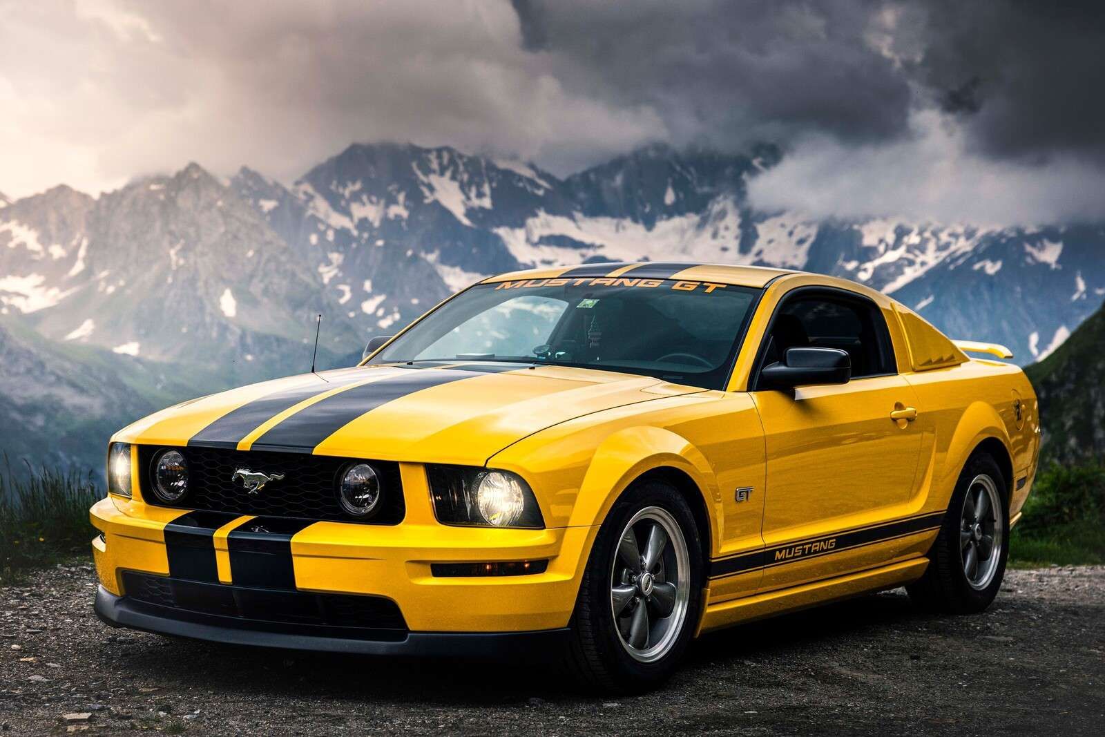 Gelé mustang i bergslandskap