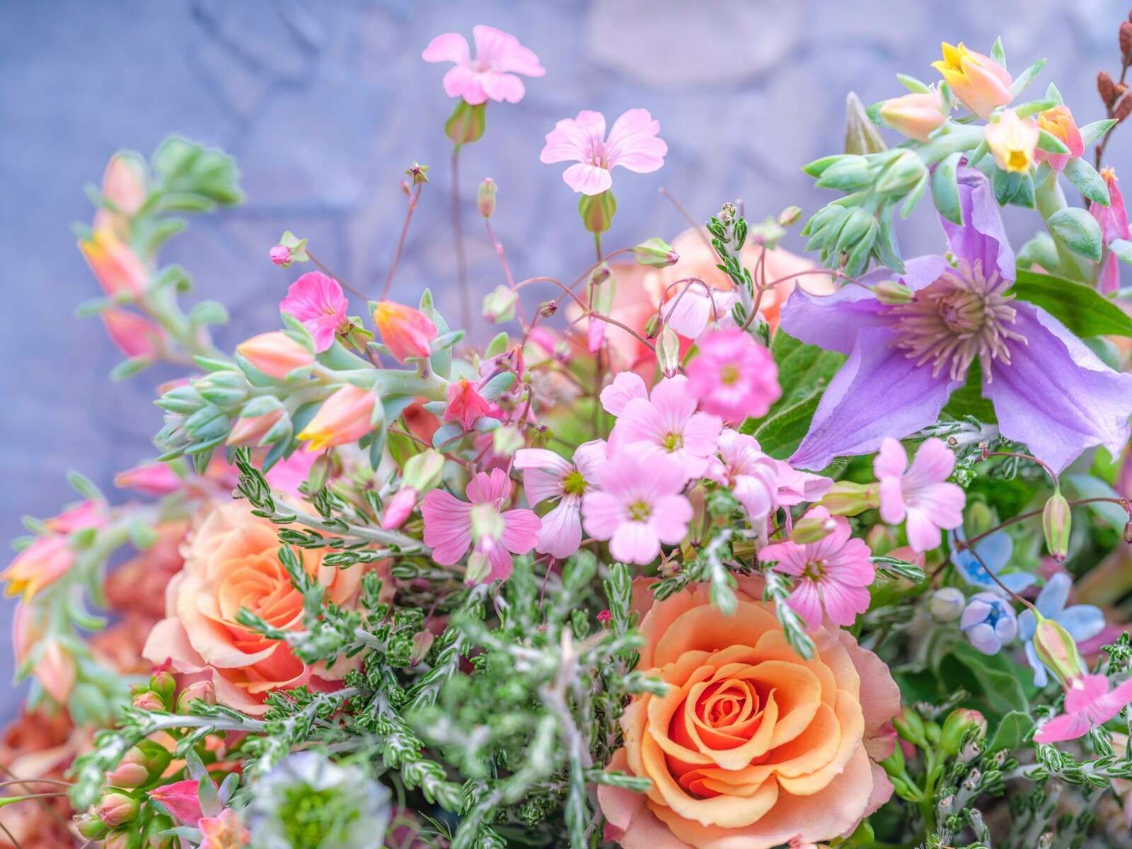 Rosor och blandade blommor