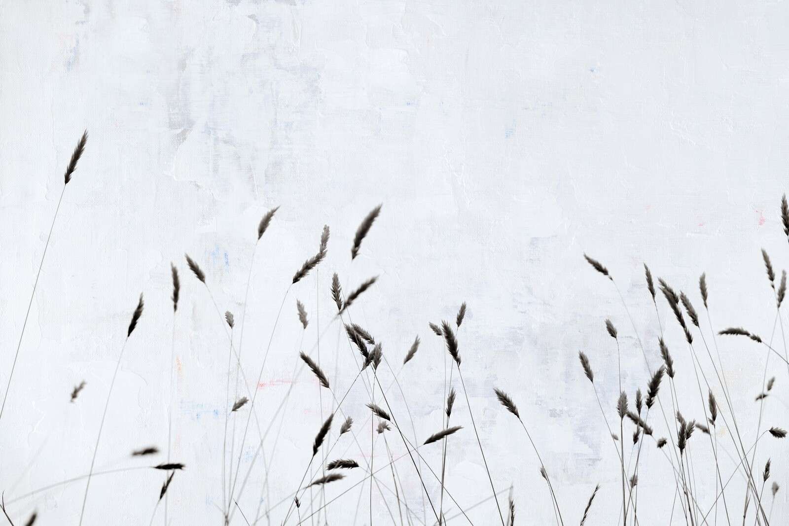 Minimalistiskt fältgräs i tystnad