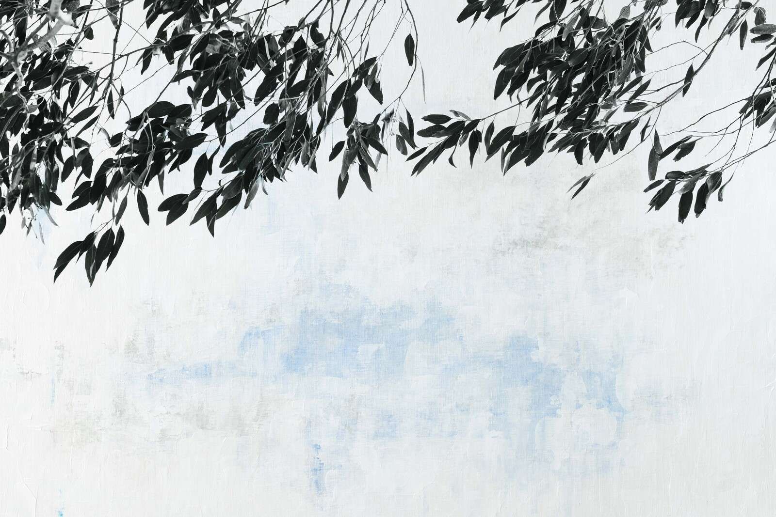 Mørke grener mot lys himmel.