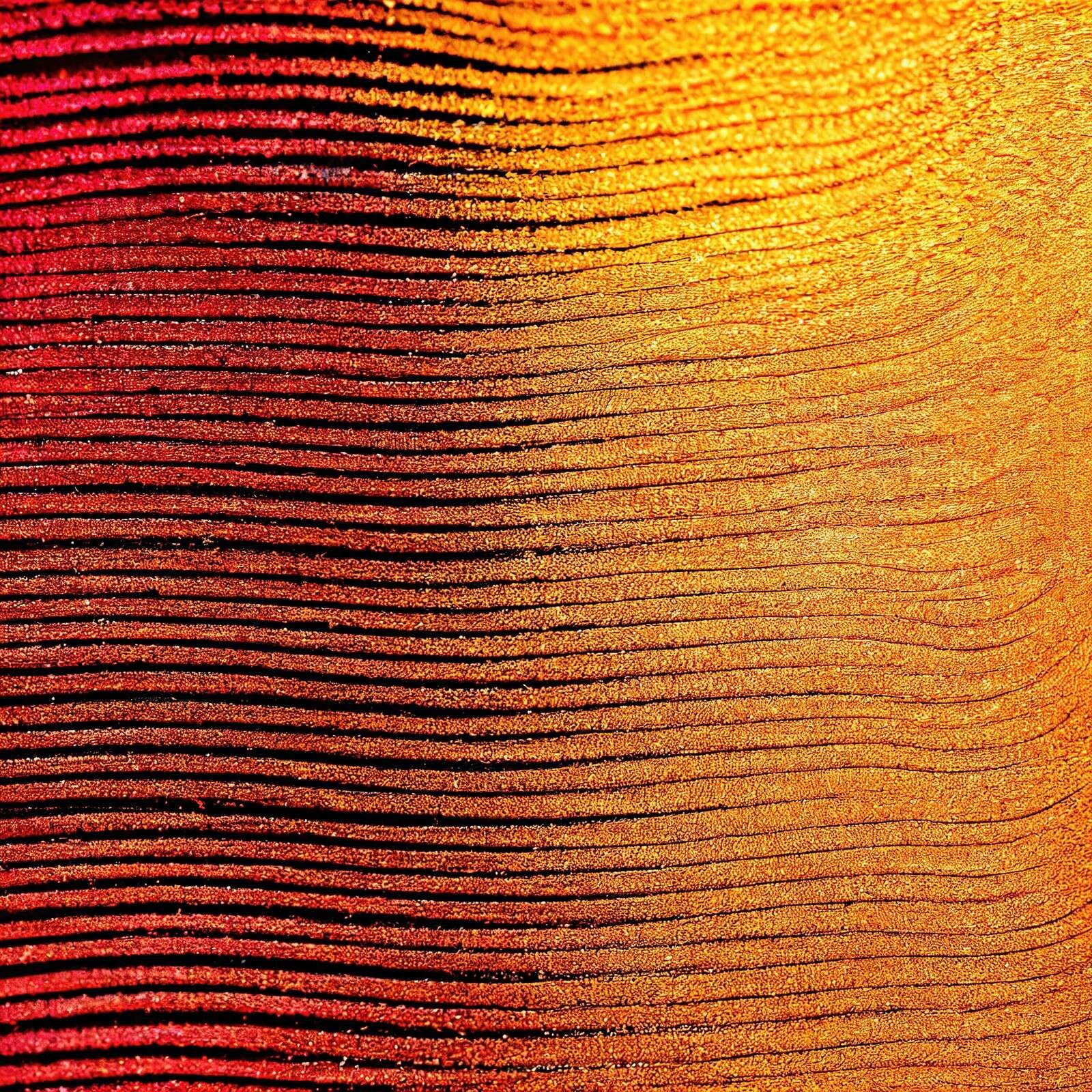 Macro Cobra safranblomst