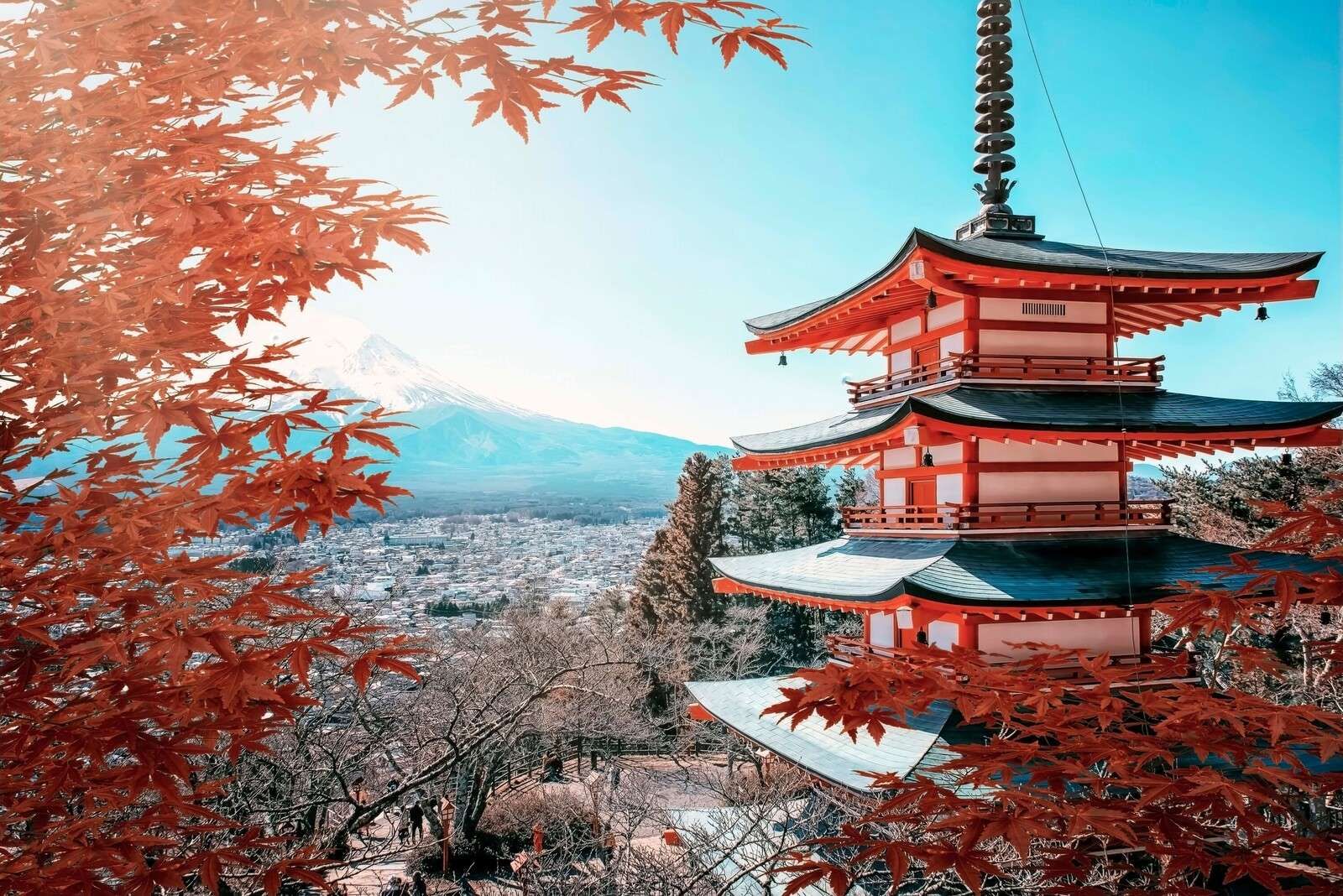 Höstögonblick vid japanska pagoden