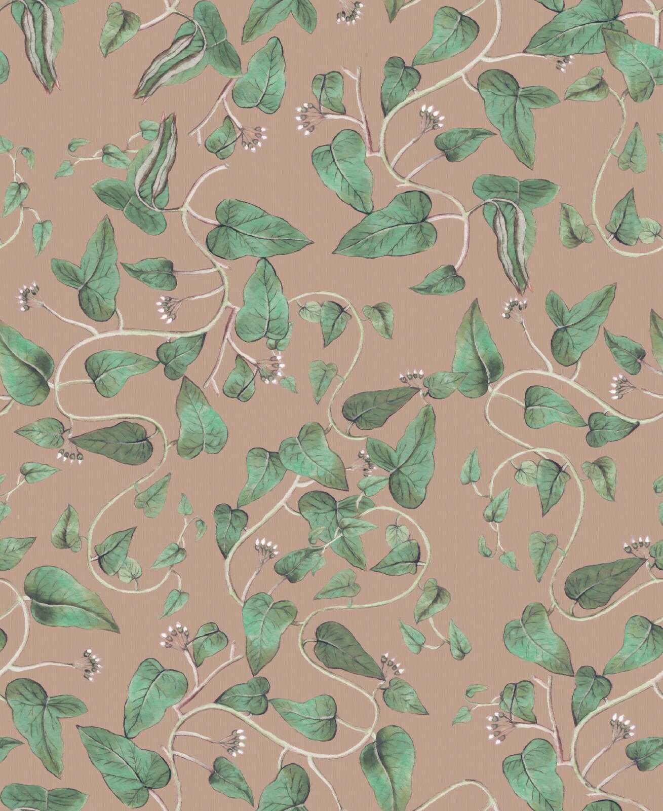 Klatrende bønnerankre på sandbrunt