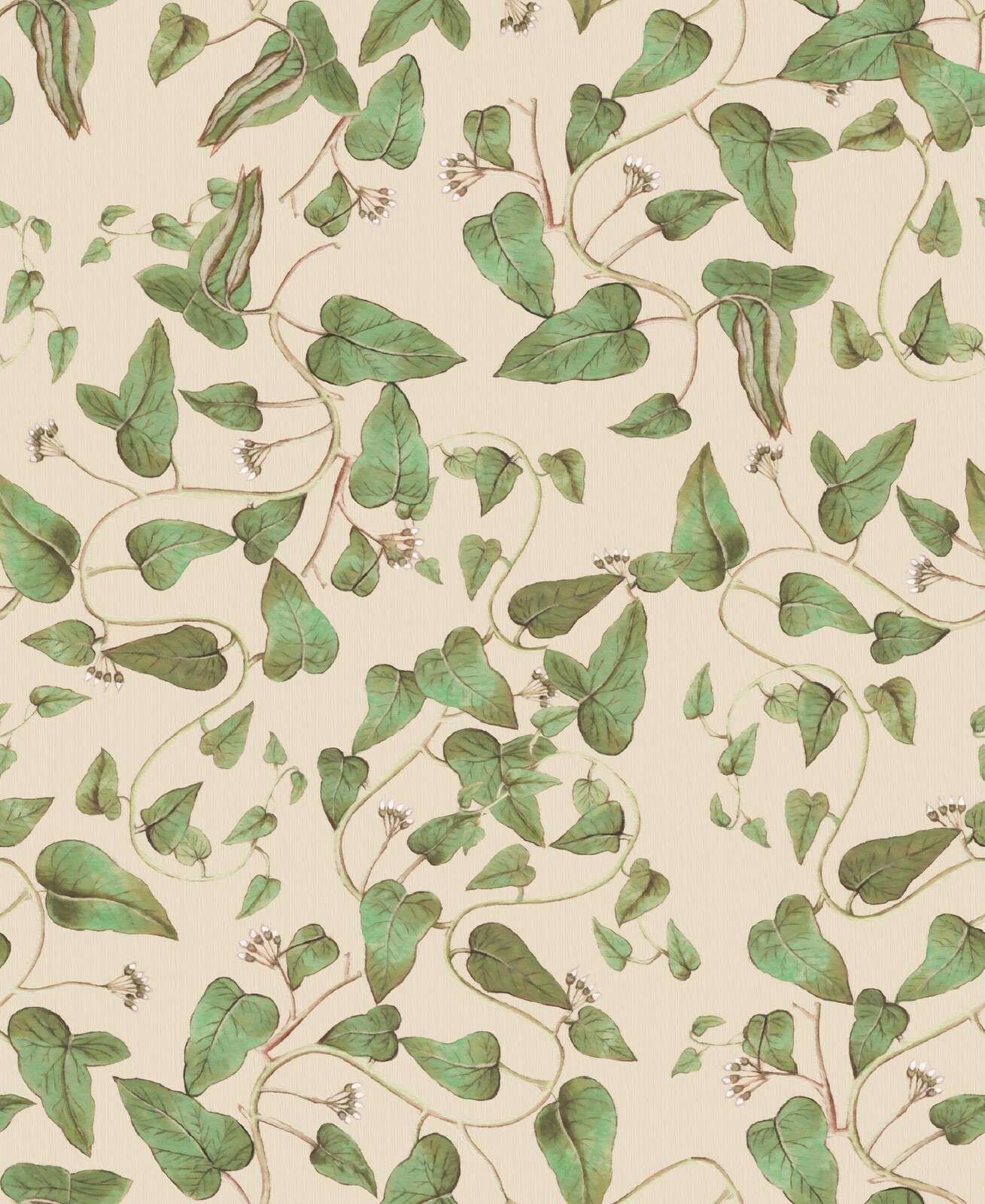 Klättrande bönrankor på grädde