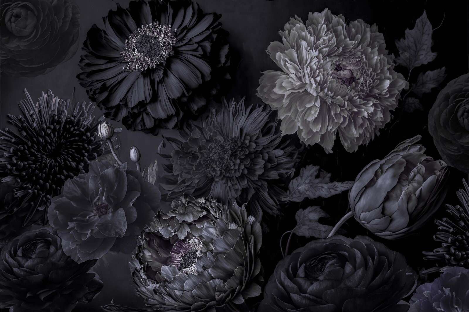 Mørkegrå stemningsfulde blomster
