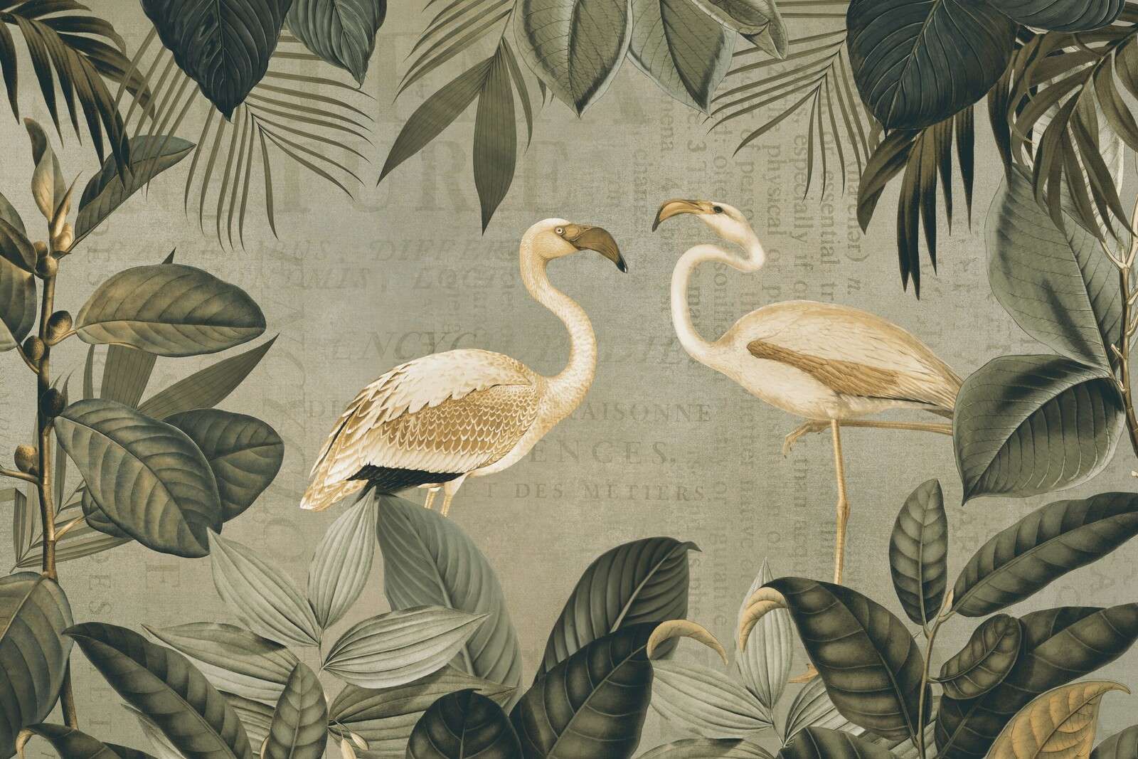 Vintage flamingo-oase og gammel tekst