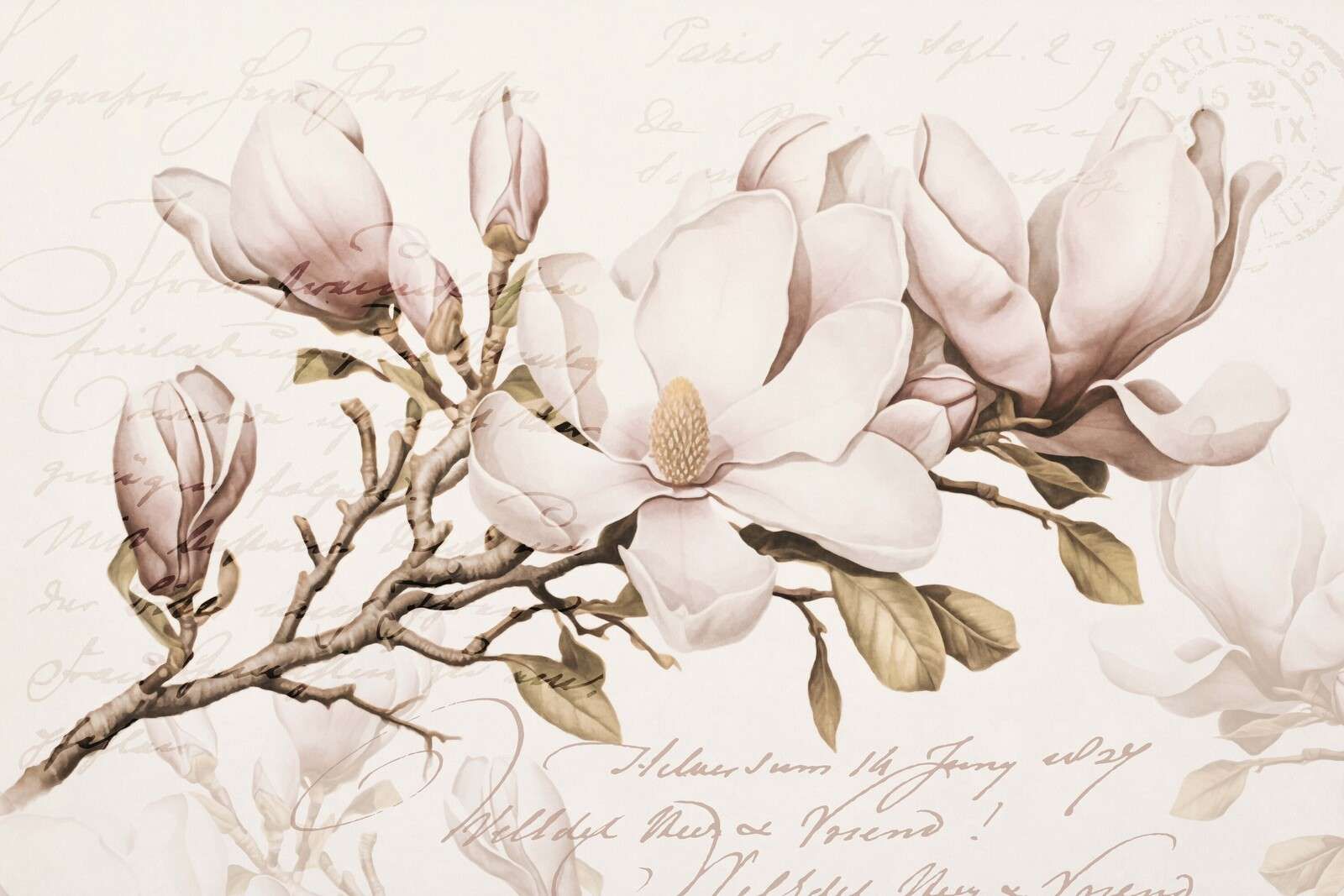 Magnolia vårromanse nostalgisk blomsterkunst