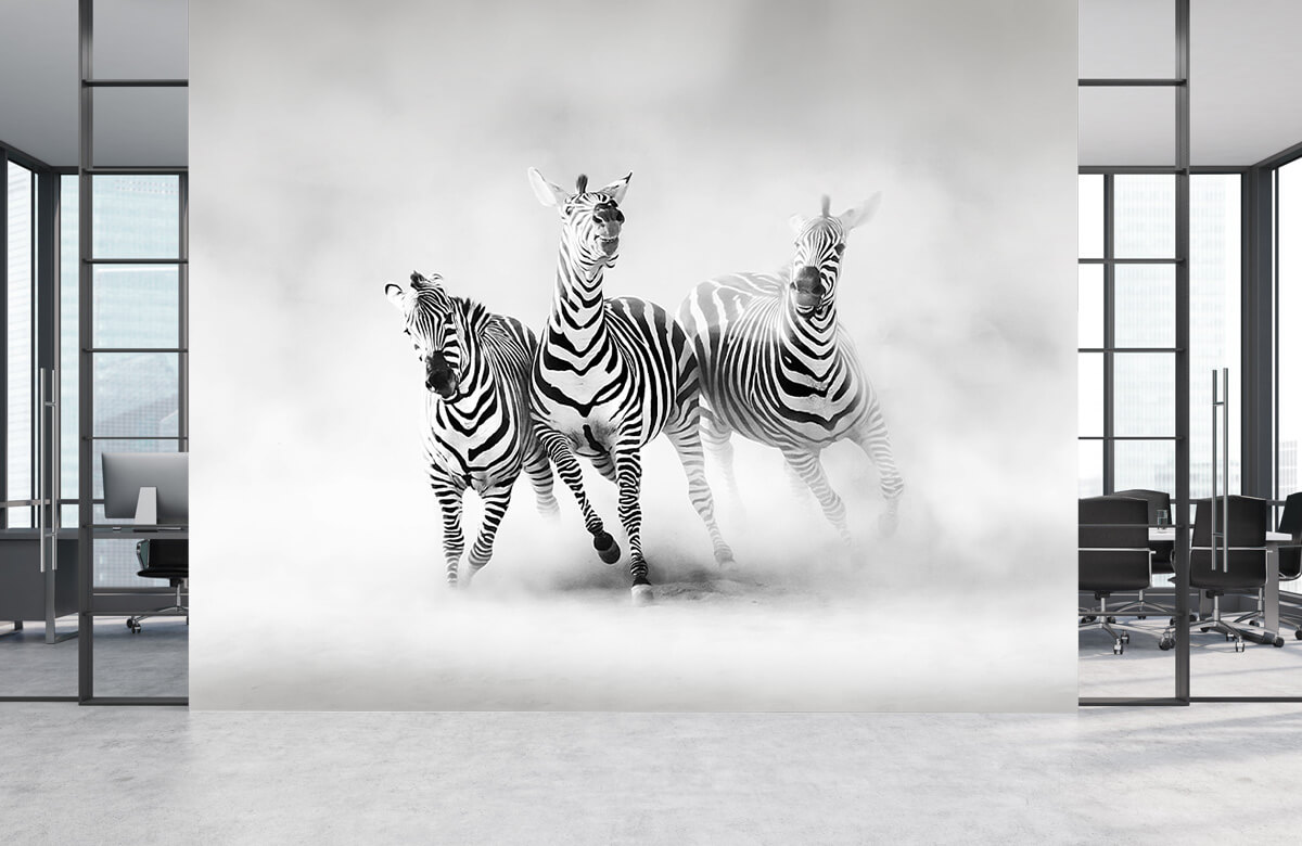 Wilde dieren Zebras 8