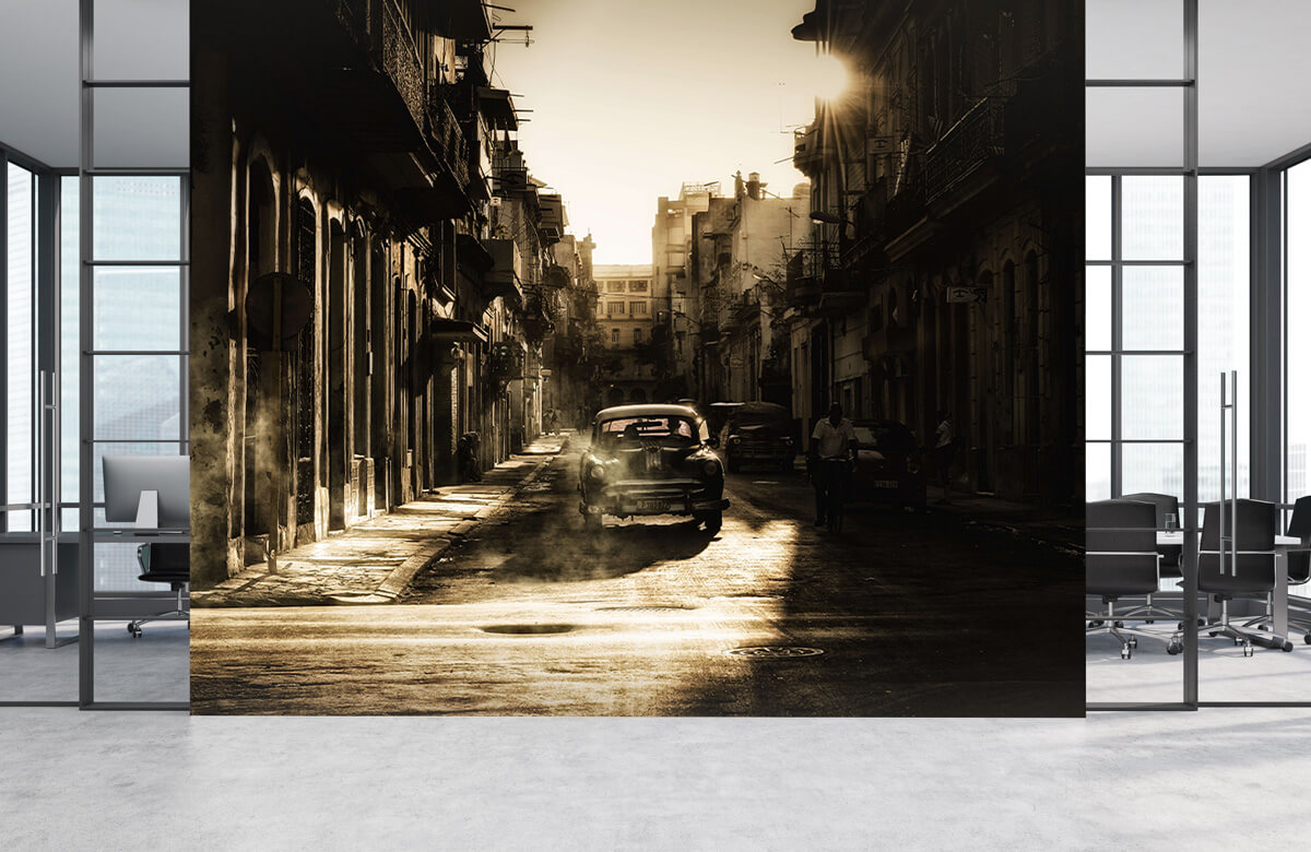 Straat Mystic morning in Havana 2