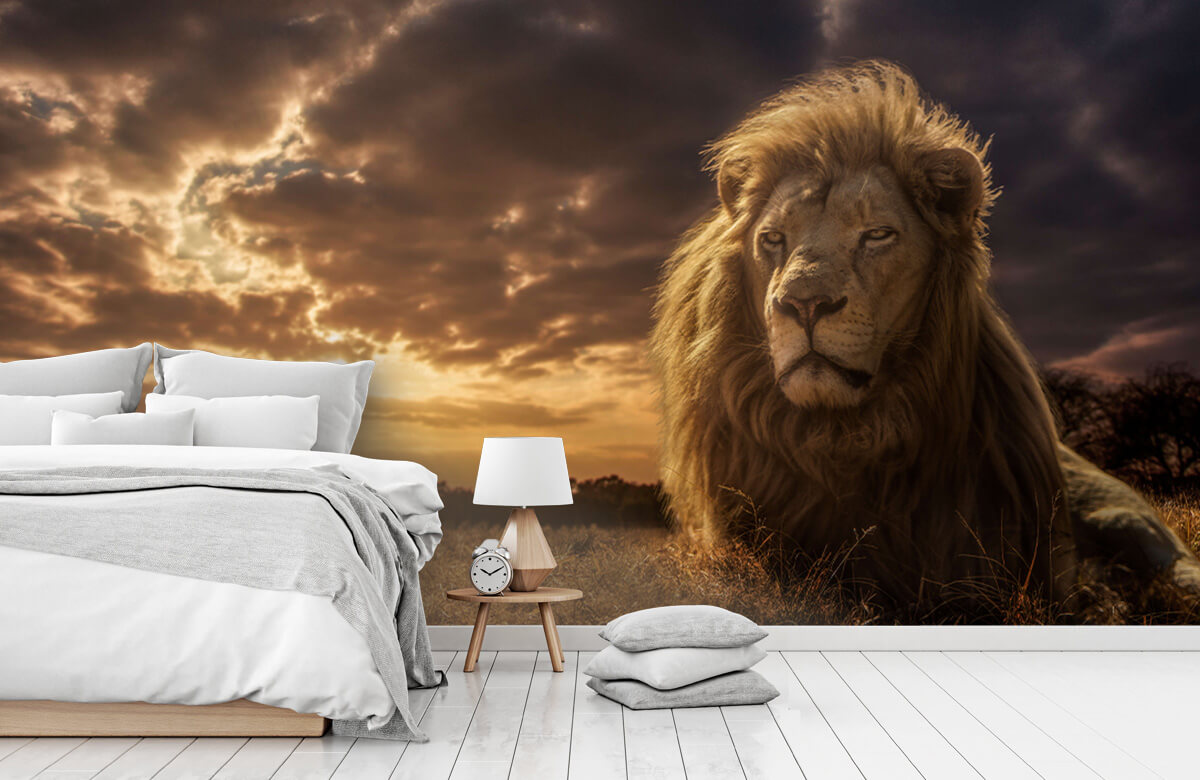 Animals Adventures on Savannah - The Lion King 5