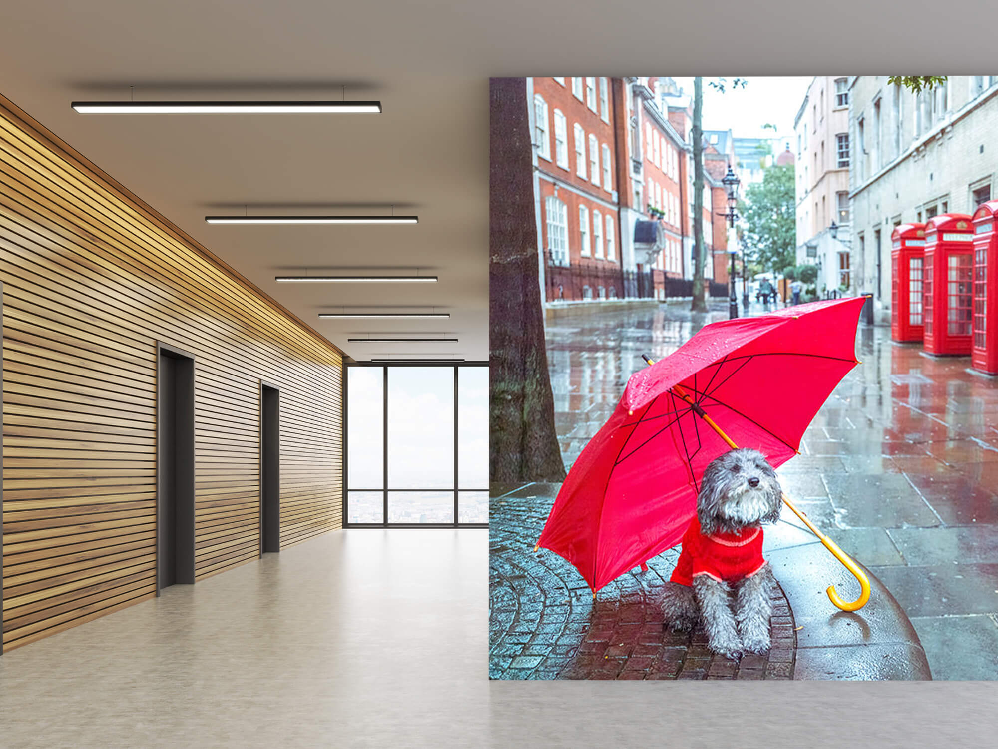  Hund med paraply 6