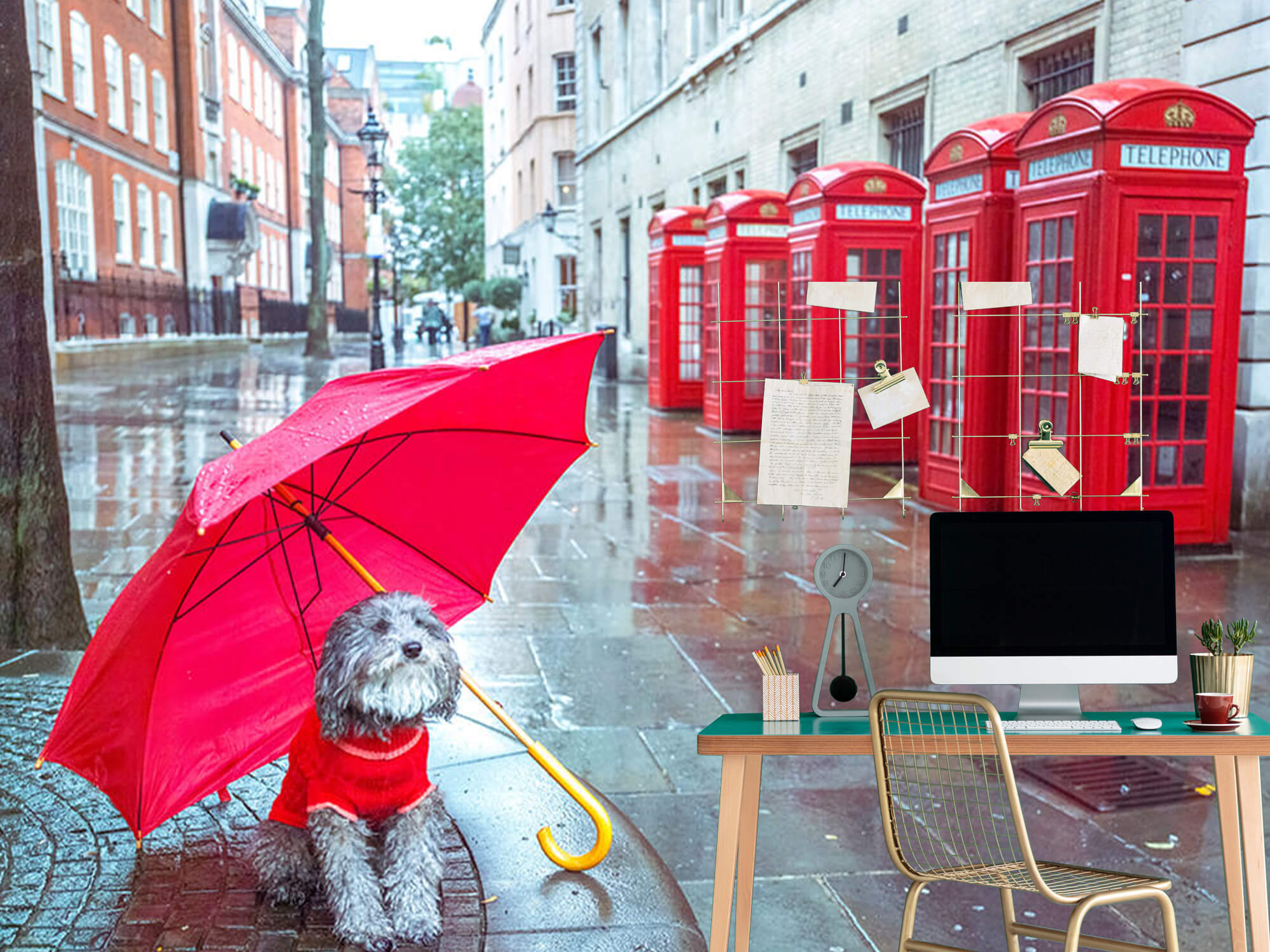  Hund med paraply 7